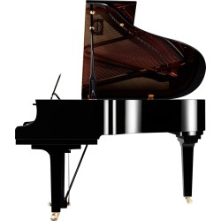 YAMAHA C2X