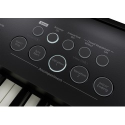 Piano numérique arrangeur ROLAND FP-E50