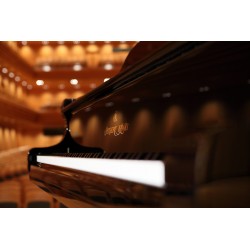 Shigeru Kawai SK2-L - Piano quart de queue