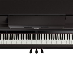 LX-6 DR roland piano