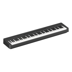 YAMAHA P145B