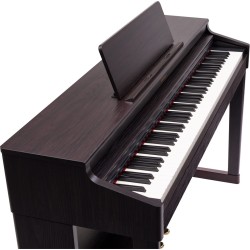 RP-701 DR - Piano numérique Roland